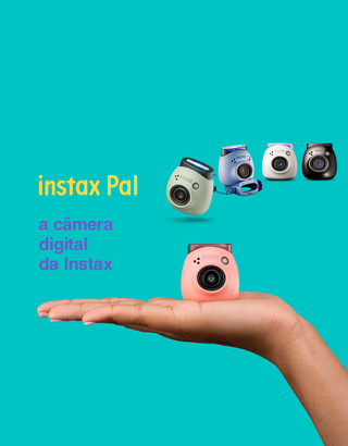 Pal™
