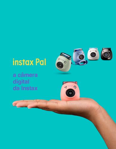 Pal™