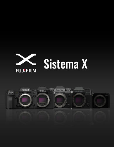 Sistema X