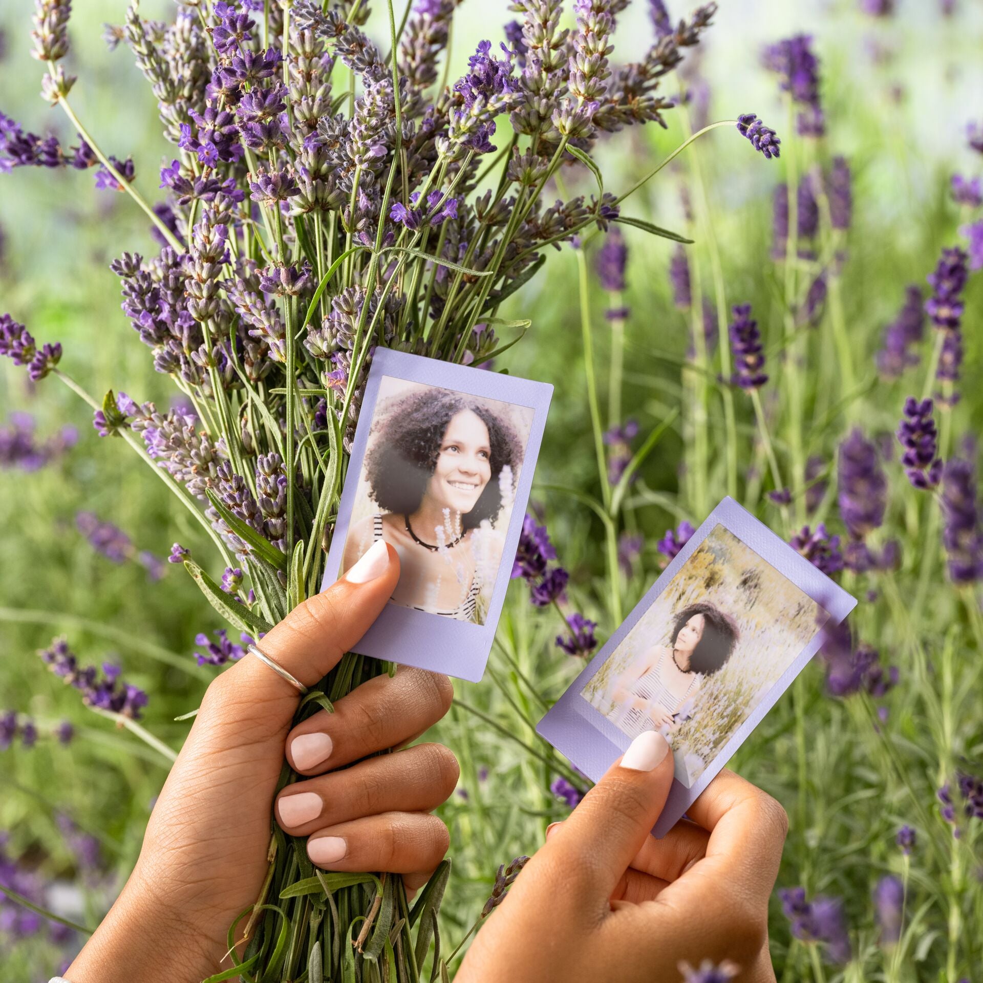 Combo de Filmes Fujifilm instax™ mini Soft Lavender 30 Fotos